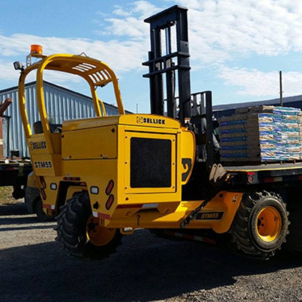 Sellick STM 4WAY Multi-directional Travel Truck Mounted Forklift - Image 2